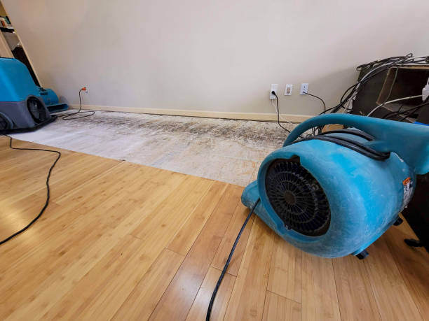 Professional Flood Damage Cleanup technician working in Five Points, TN